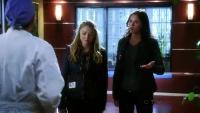 Click to watch 'Tressed to Kill' (popup) CSI